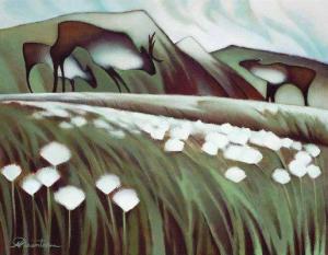 Arctic Cotton Grass